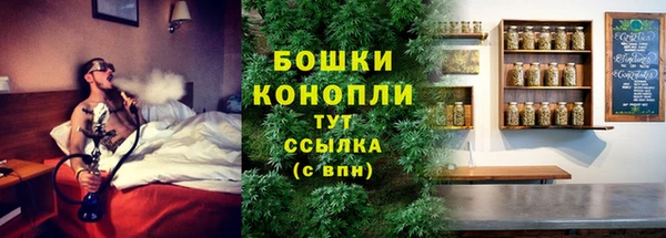 тгк Володарск