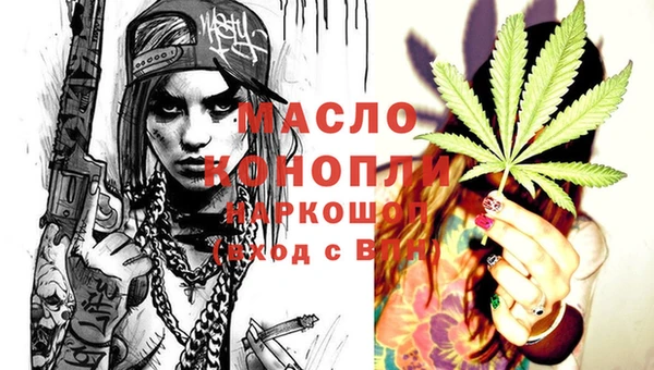 тгк Володарск